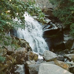 Meet your Posher, Grace